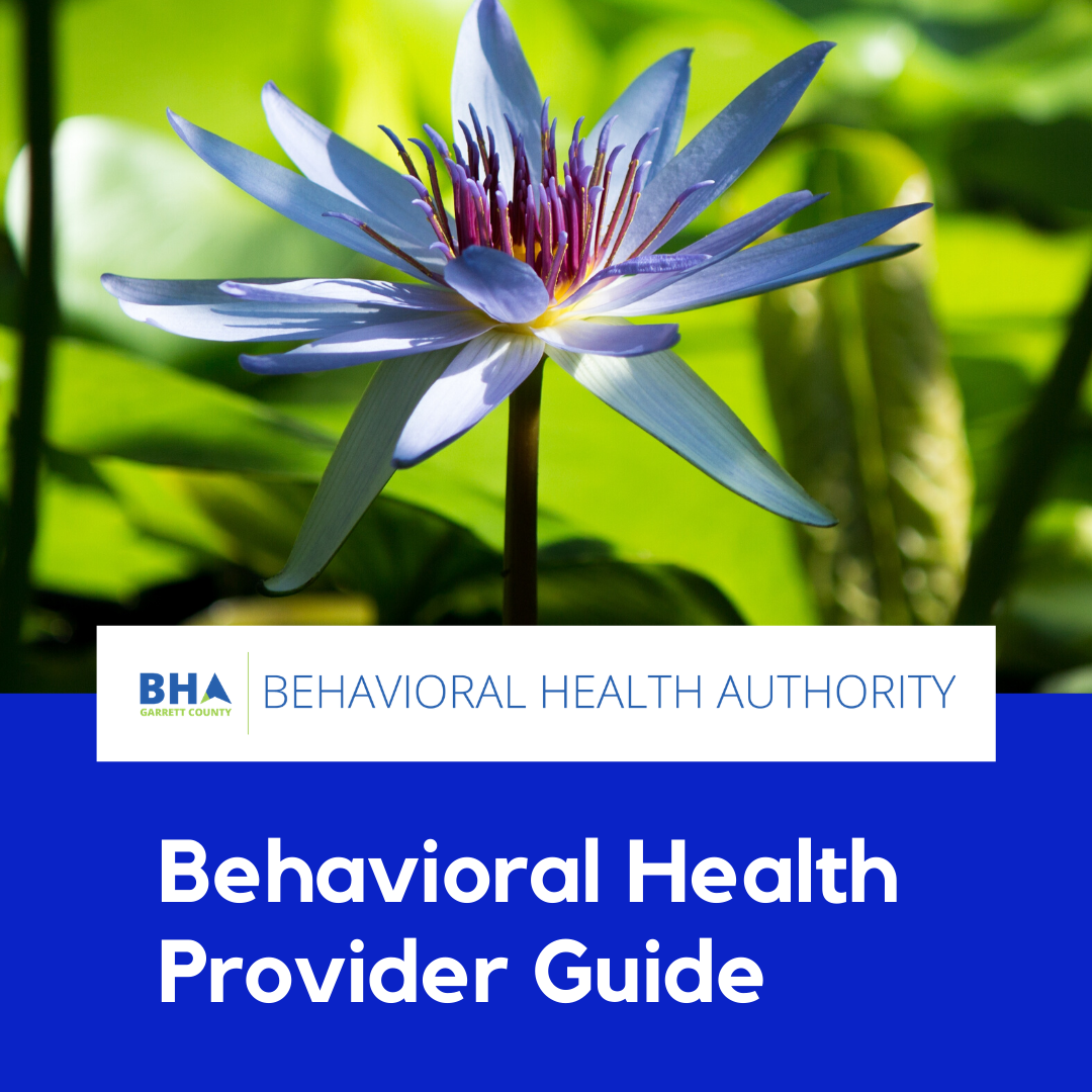 BHA Guide